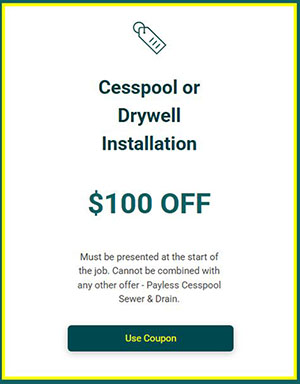 Payless Coupons